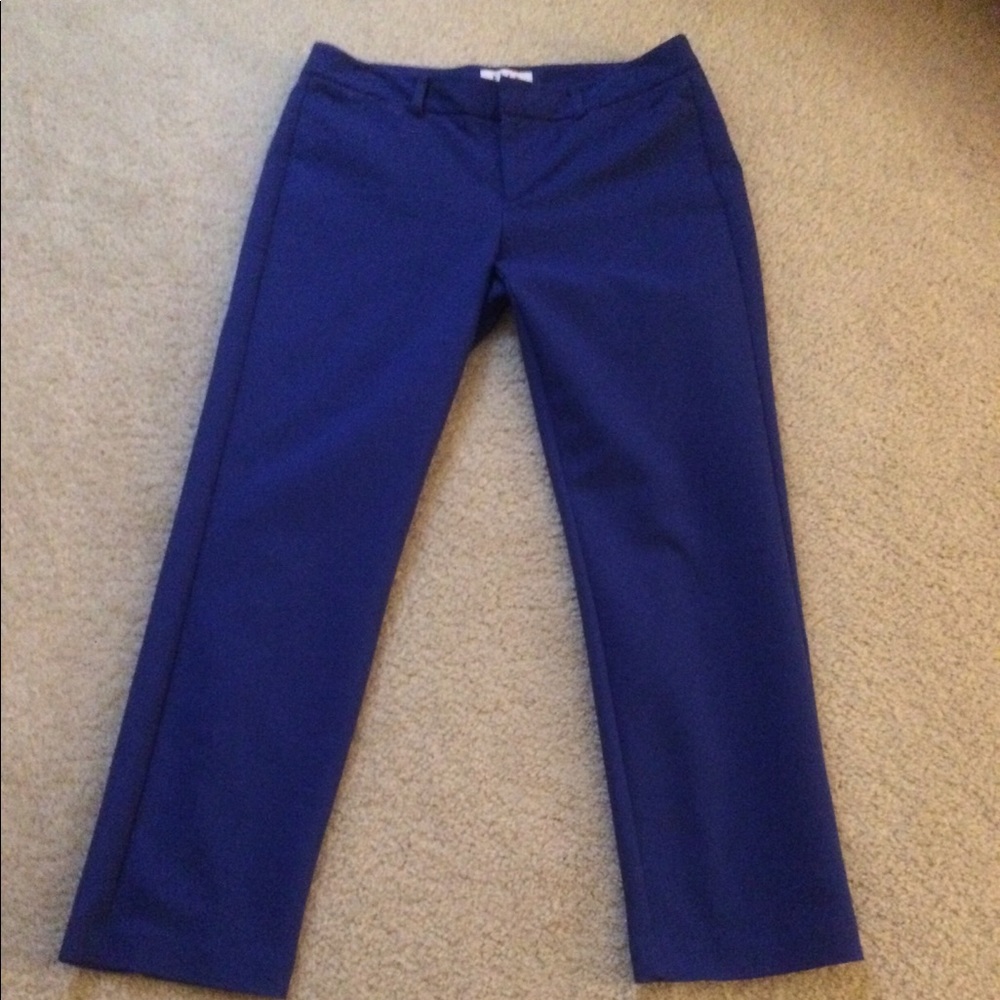 Elle Dazzle Blue Dress Ankle pants